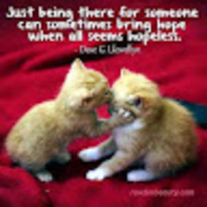 Meet your Posher, Kristy